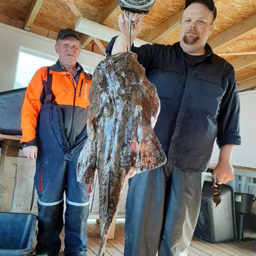 norway_fishing_tromso_4